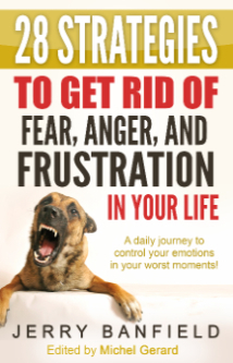 28 Strategies to Get Rid of Fear, Anger and Frustration in Your Life